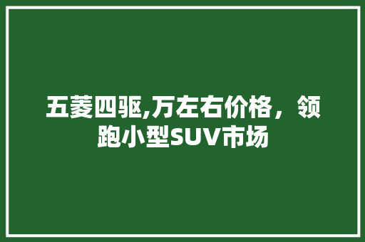 五菱四驱,万左右价格，领跑小型SUV市场 汽车知识