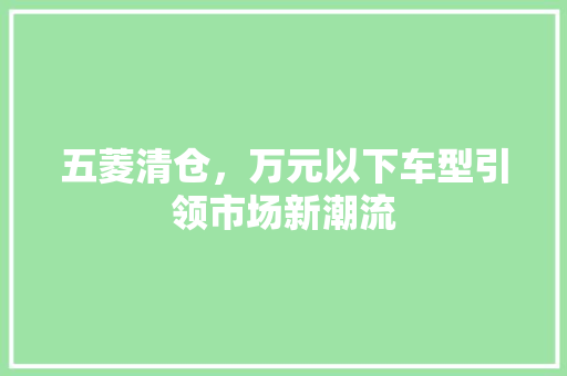 五菱清仓，万元以下车型引领市场新潮流 汽车知识