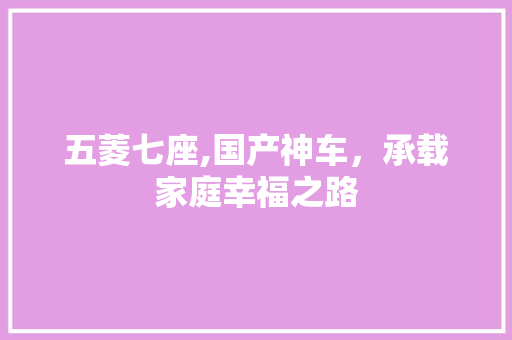 五菱七座,国产神车，承载家庭幸福之路 汽车知识