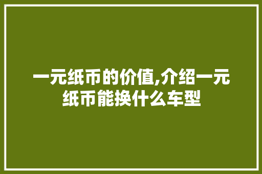 一元纸币的价值,介绍一元纸币能换什么车型