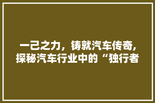 一己之力，铸就汽车传奇,探秘汽车行业中的“独行者”车型