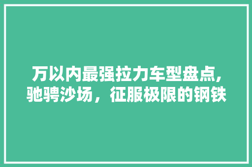万以内最强拉力车型盘点,驰骋沙场，征服极限的钢铁勇士 汽车知识