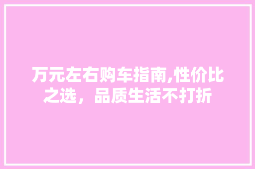 万元左右购车指南,性价比之选，品质生活不打折