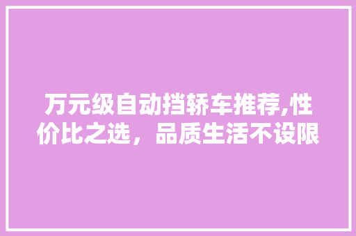 万元级自动挡轿车推荐,性价比之选，品质生活不设限 汽车知识