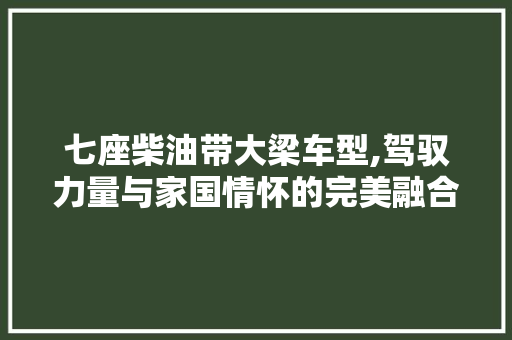 七座柴油带大梁车型,驾驭力量与家国情怀的完美融合 汽车知识