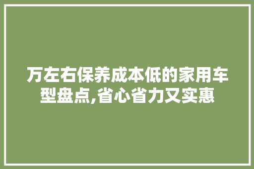 万左右保养成本低的家用车型盘点,省心省力又实惠 汽车知识