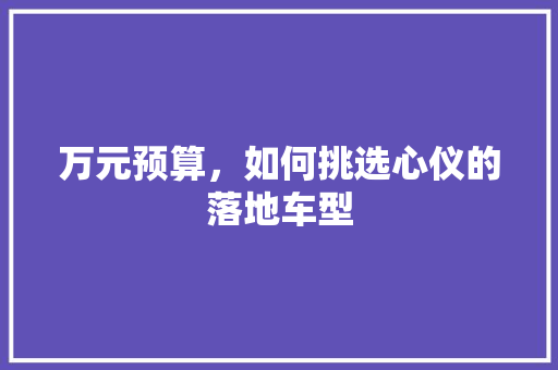 万元预算，如何挑选心仪的落地车型 汽车知识
