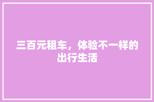 三百元租车，体验不一样的出行生活