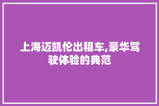 上海迈凯伦出租车,豪华驾驶体验的典范
