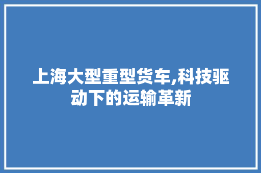 上海大型重型货车,科技驱动下的运输革新