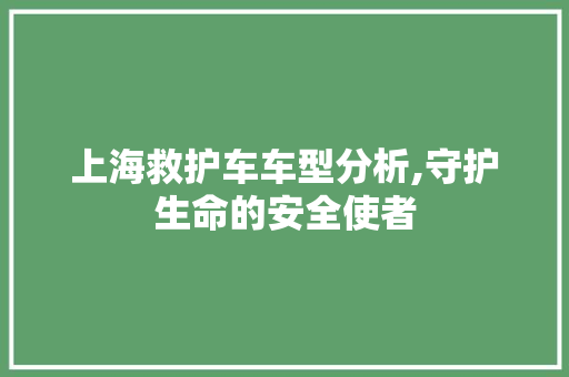 上海救护车车型分析,守护生命的安全使者