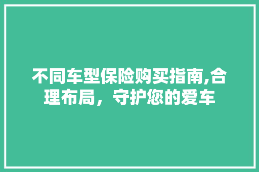 不同车型保险购买指南,合理布局，守护您的爱车