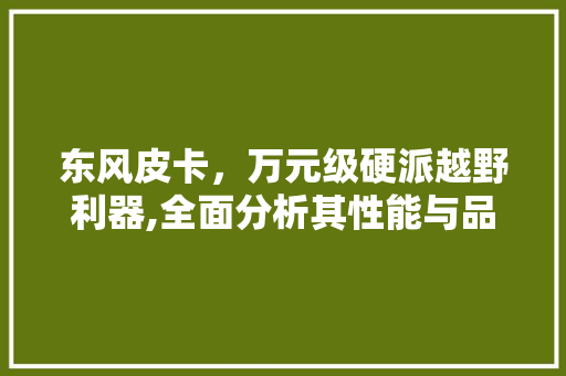 东风皮卡，万元级硬派越野利器,全面分析其性能与品质 汽车知识