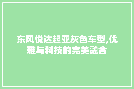 东风悦达起亚灰色车型,优雅与科技的完美融合