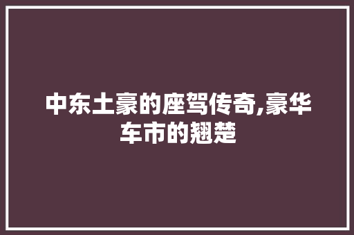 中东土豪的座驾传奇,豪华车市的翘楚
