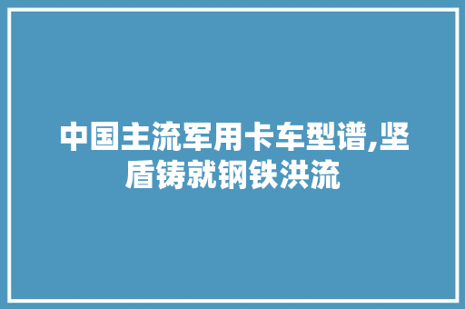 中国主流军用卡车型谱,坚盾铸就钢铁洪流 汽车知识