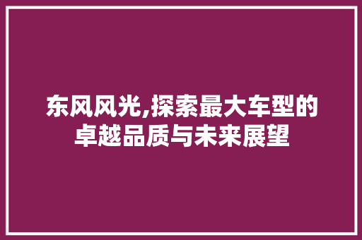 东风风光,探索最大车型的卓越品质与未来展望 汽车知识