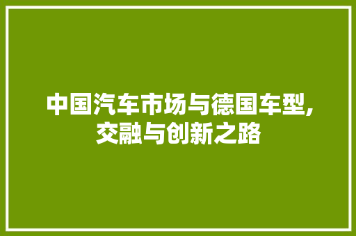 中国汽车市场与德国车型,交融与创新之路