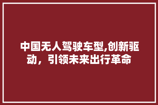 中国无人驾驶车型,创新驱动，引领未来出行革命