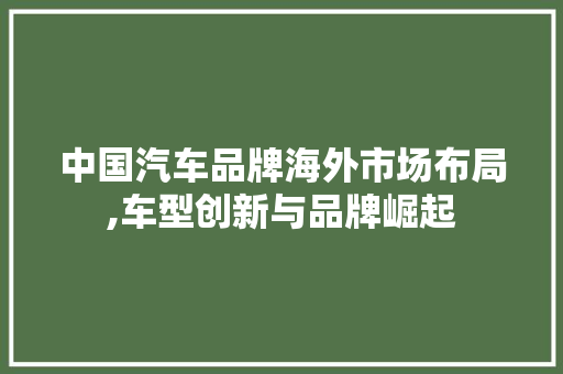 中国汽车品牌海外市场布局,车型创新与品牌崛起