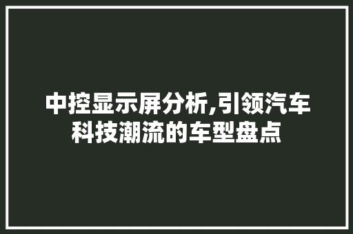 中控显示屏分析,引领汽车科技潮流的车型盘点