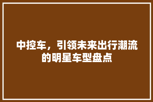 中控车，引领未来出行潮流的明星车型盘点