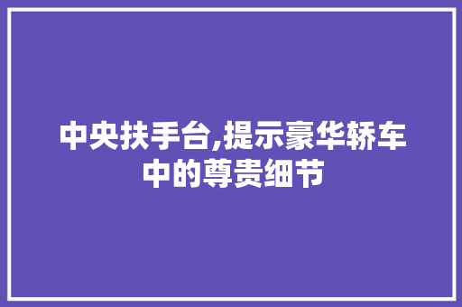 中央扶手台,提示豪华轿车中的尊贵细节