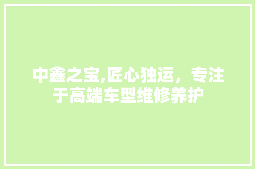 中鑫之宝,匠心独运，专注于高端车型维修养护