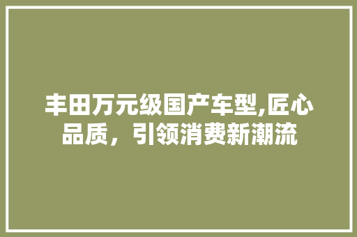 丰田万元级国产车型,匠心品质，引领消费新潮流 汽车知识