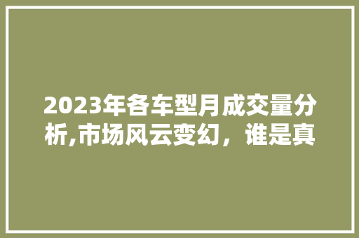 2023年各车型月成交量分析,市场风云变幻，谁是真正的销量王者