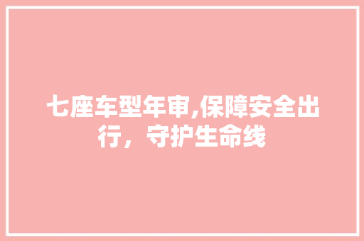 七座车型年审,保障安全出行，守护生命线
