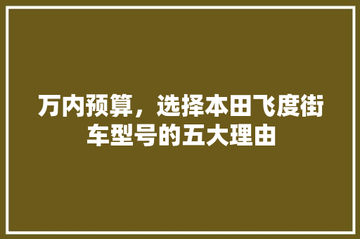 万内预算，选择本田飞度街车型号的五大理由