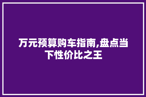 万元预算购车指南,盘点当下性价比之王