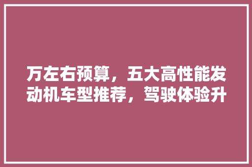 万左右预算，五大高性能发动机车型推荐，驾驶体验升级！