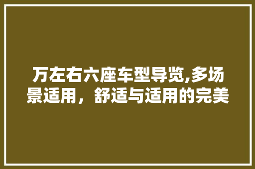 万左右六座车型导览,多场景适用，舒适与适用的完美结合