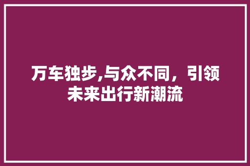 万车独步,与众不同，引领未来出行新潮流