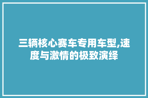 三辆核心赛车专用车型,速度与激情的极致演绎
