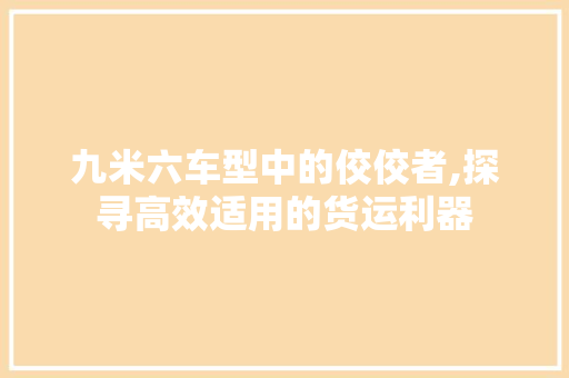 九米六车型中的佼佼者,探寻高效适用的货运利器