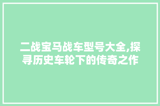 二战宝马战车型号大全,探寻历史车轮下的传奇之作 汽车知识