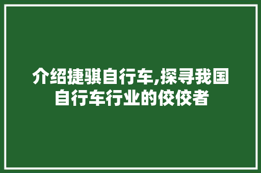 介绍捷骐自行车,探寻我国自行车行业的佼佼者