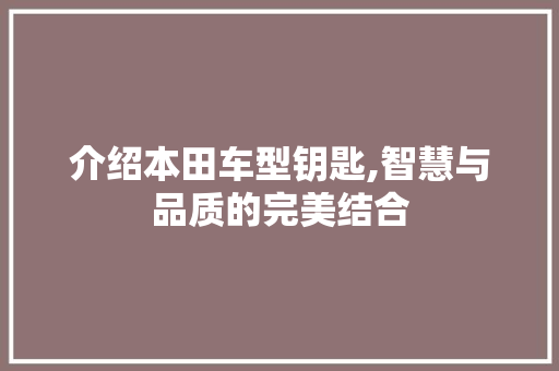 介绍本田车型钥匙,智慧与品质的完美结合 汽车知识
