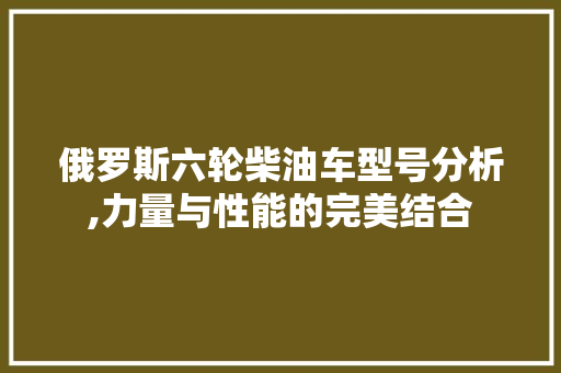 俄罗斯六轮柴油车型号分析,力量与性能的完美结合