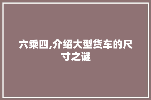 六乘四,介绍大型货车的尺寸之谜
