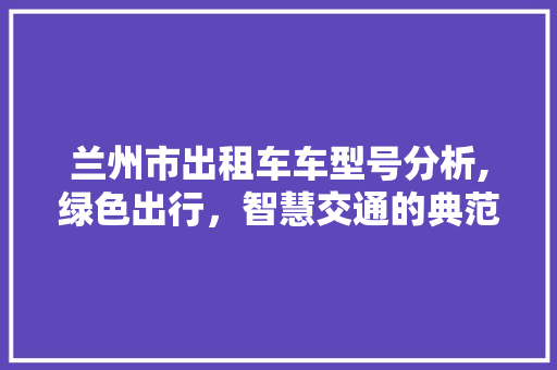 兰州市出租车车型号分析,绿色出行，智慧交通的典范