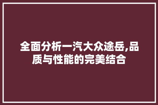 全面分析一汽大众途岳,品质与性能的完美结合