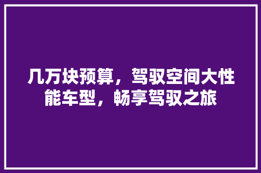 几万块预算，驾驭空间大性能车型，畅享驾驭之旅 汽车知识
