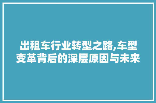 出租车行业转型之路,车型变革背后的深层原因与未来展望
