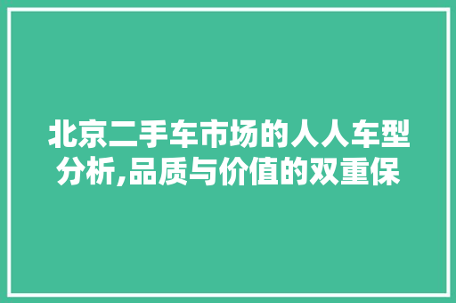 北京二手车市场的人人车型分析,品质与价值的双重保障