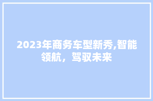2023年商务车型新秀,智能领航，驾驭未来