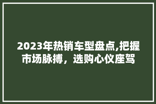 2023年热销车型盘点,把握市场脉搏，选购心仪座驾